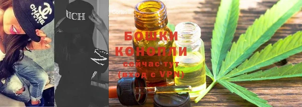 соль ск Арсеньев