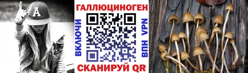 Псилоцибиновые грибы Psilocybine cubensis  дарнет шоп  Советский 